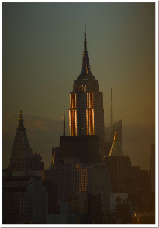 NY441 NY441