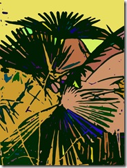 palmsilhouette6