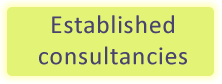 Established consultancies tour